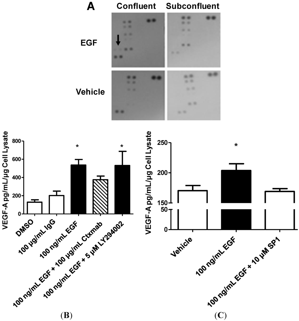 Ijms 15 17686 g008 1024