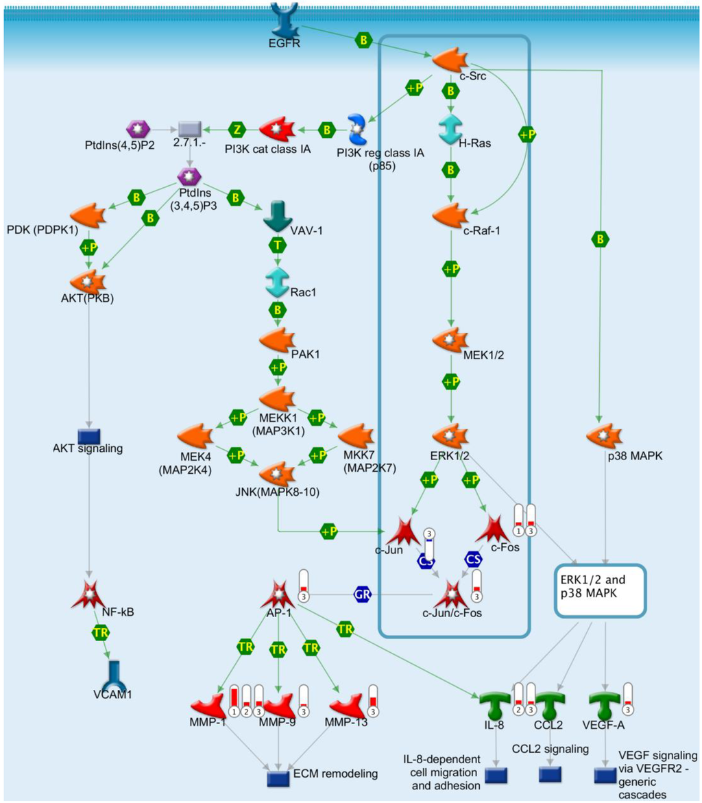 Ijms 15 17686 g010 1024