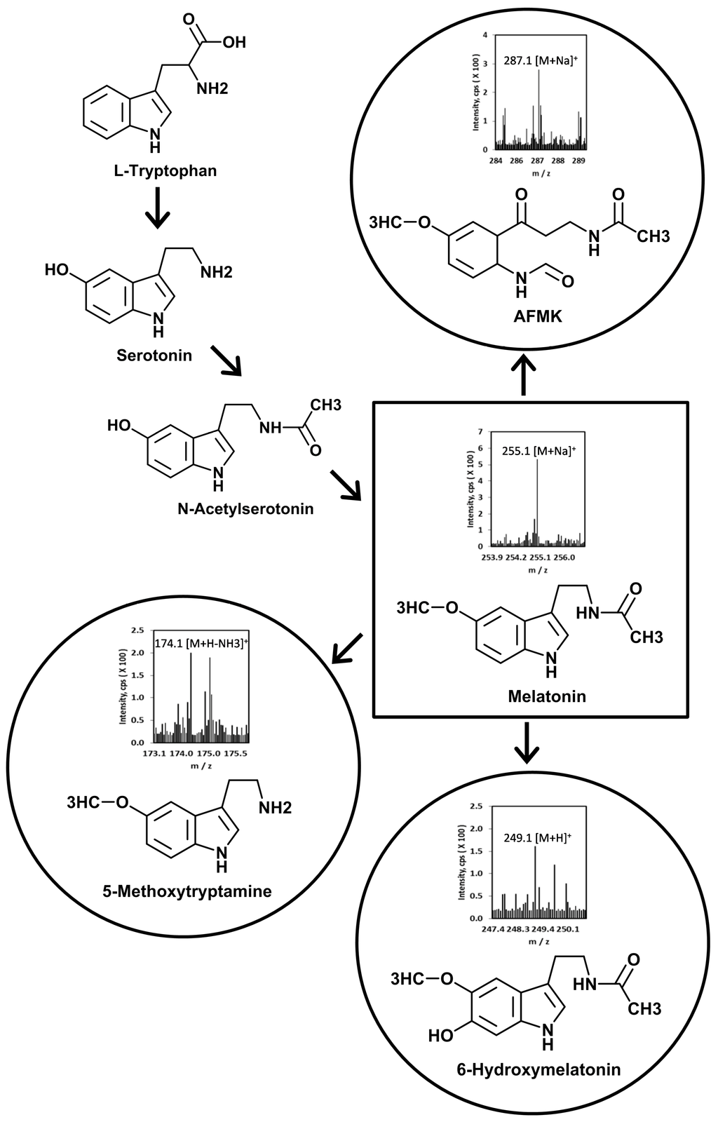 Ijms 15 17705 g001 1024