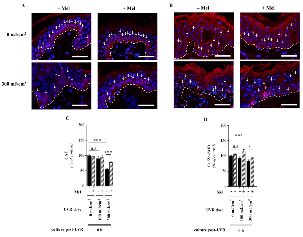 Ijms 15 17705 g008 1024
