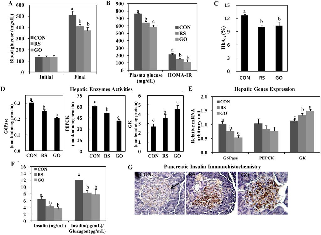 Ijms 15 17778 g001 1024