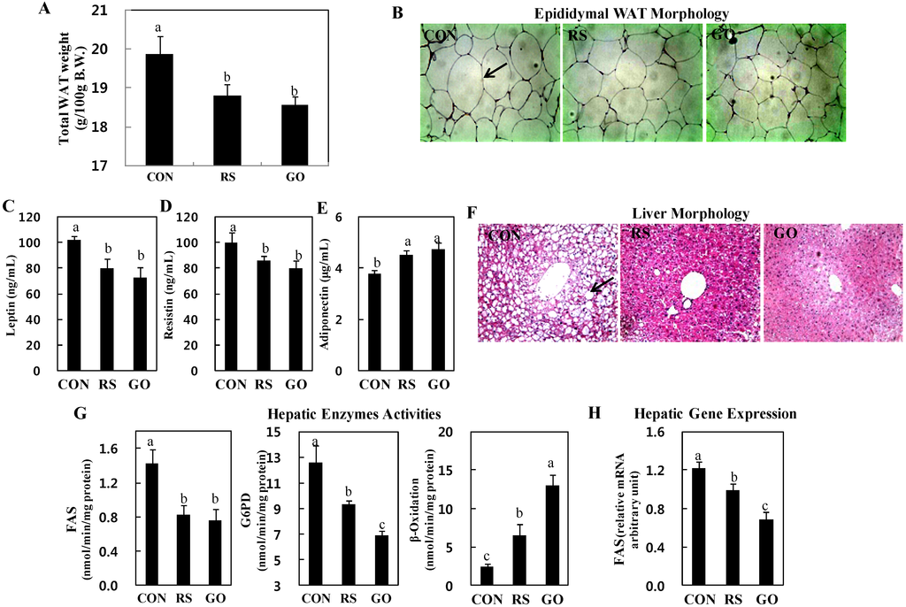 Ijms 15 17778 g002 1024
