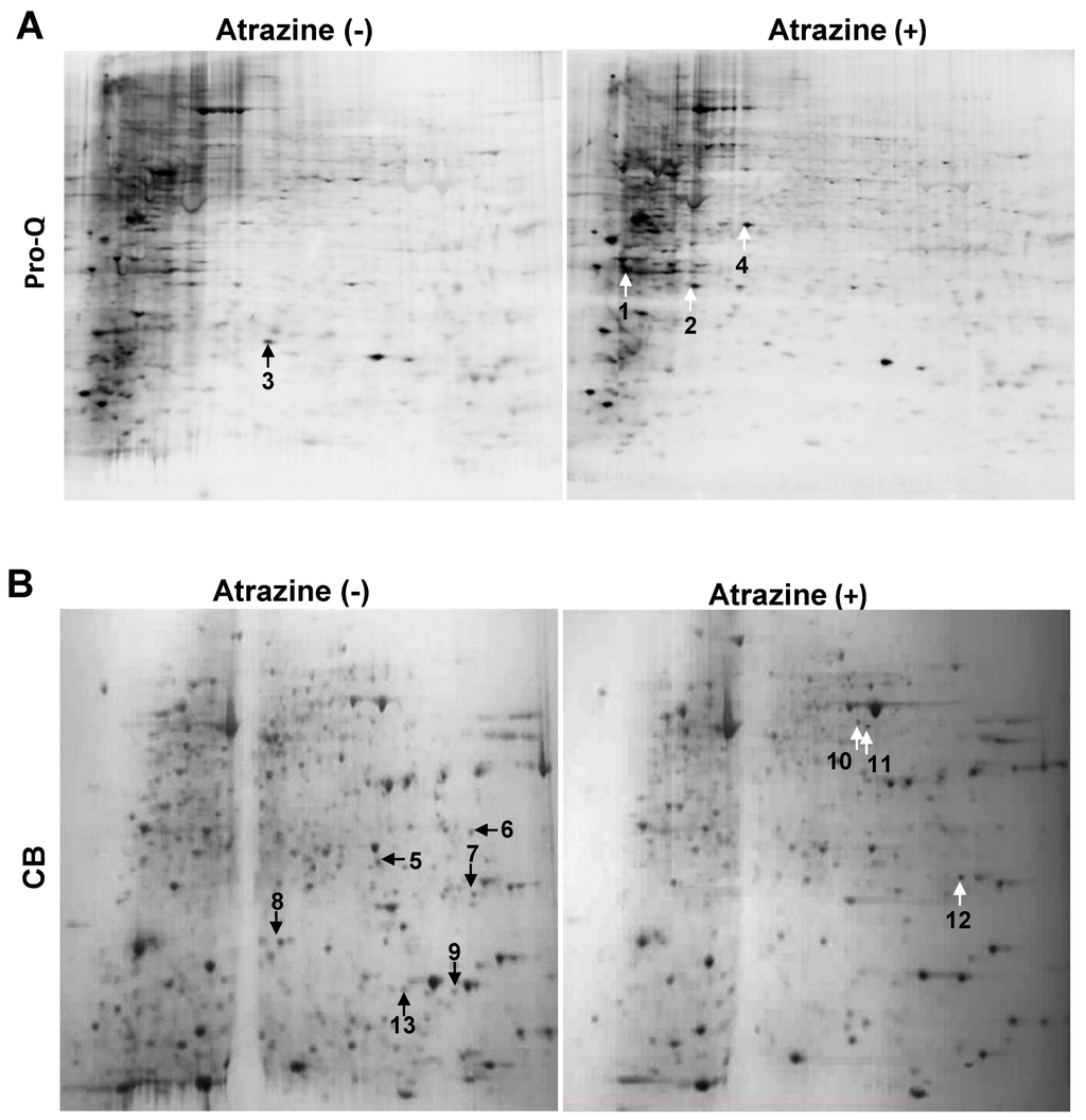 Ijms 15 17806 g001 1024