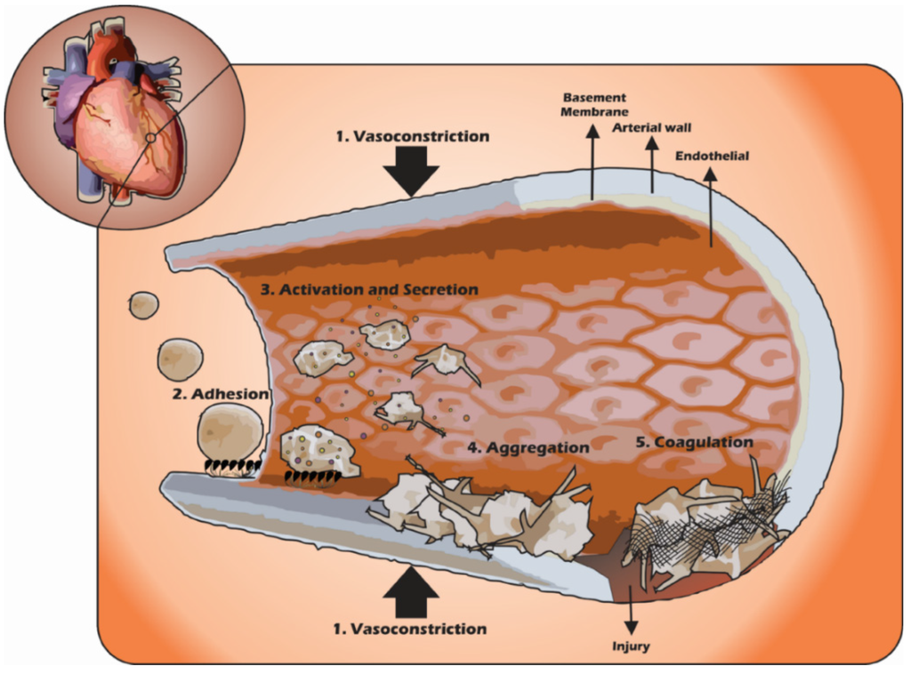 Ijms 15 17901 g002 1024