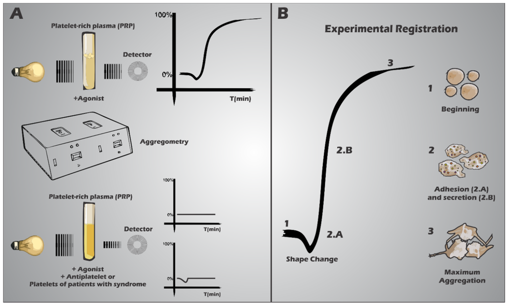 Ijms 15 17901 g003 1024