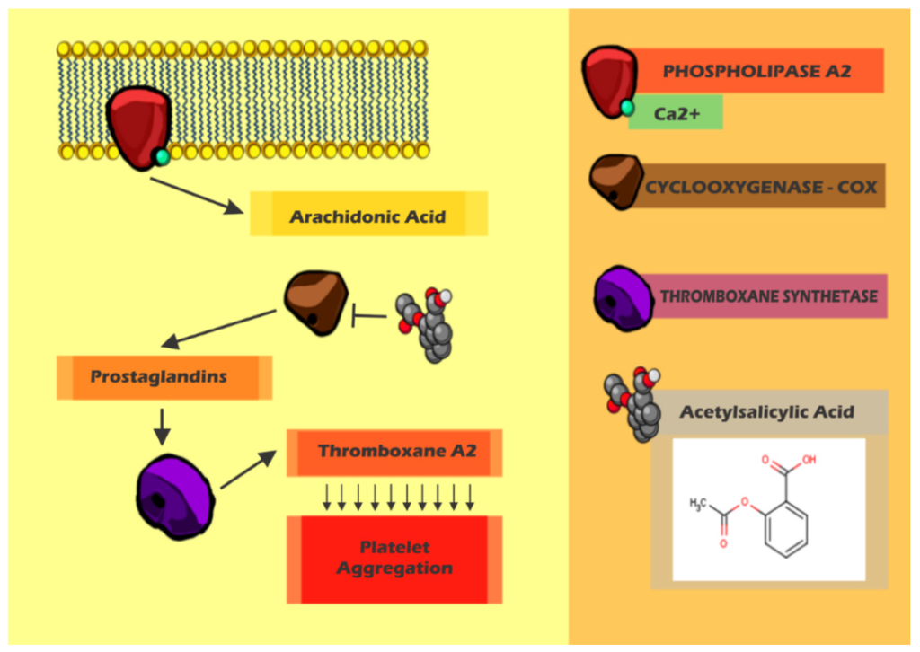 Ijms 15 17901 g004 1024