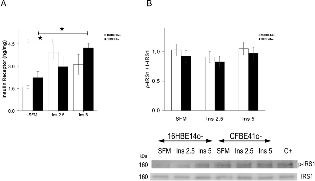 Ijms 15 18000 g001 1024