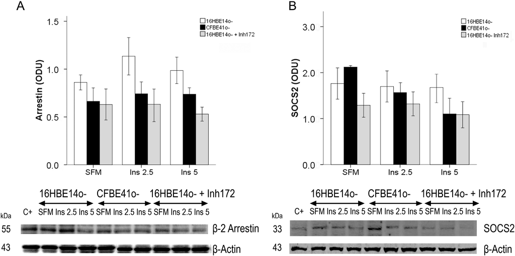 Ijms 15 18000 g004 1024