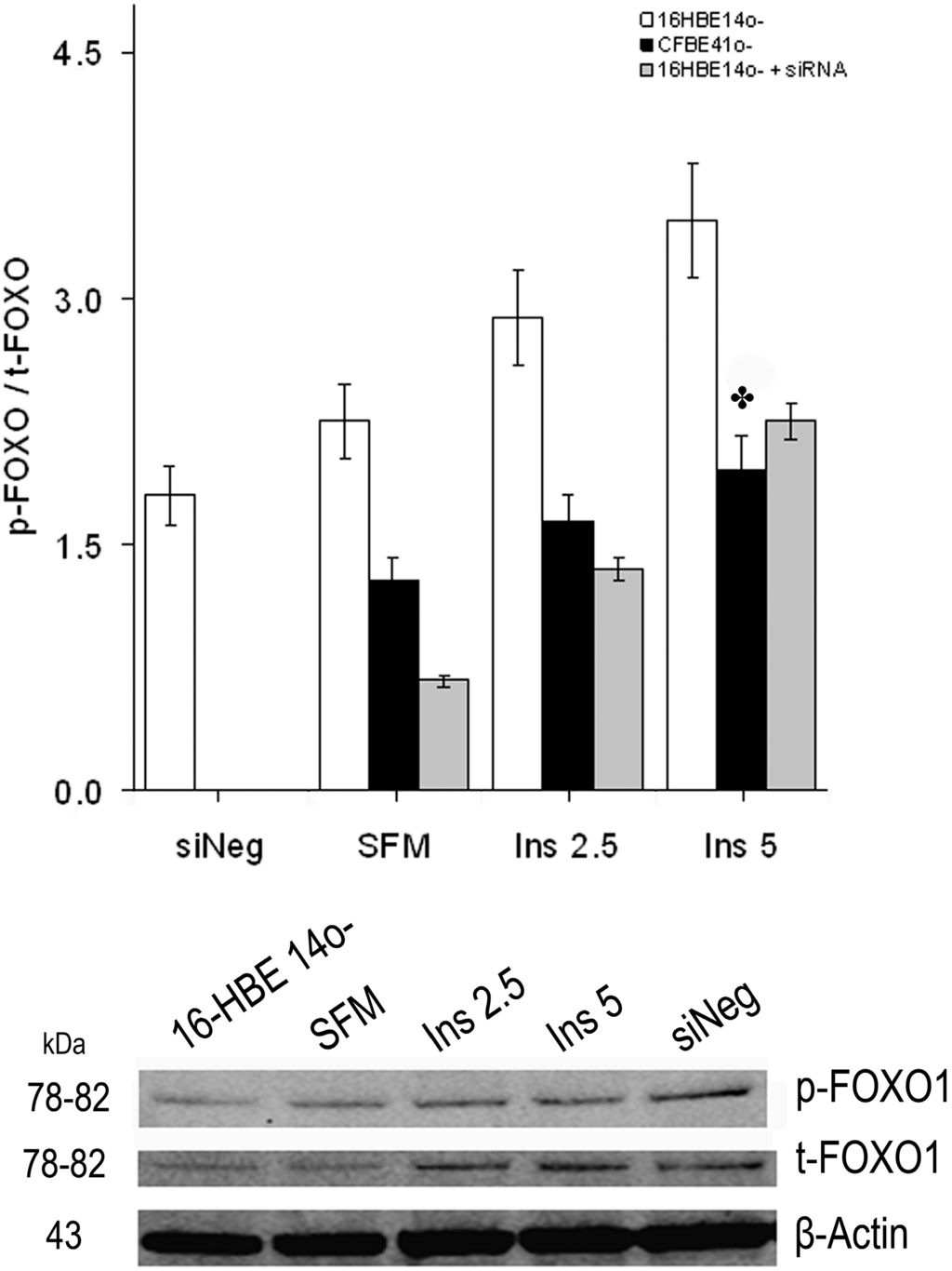Ijms 15 18000 g006 1024