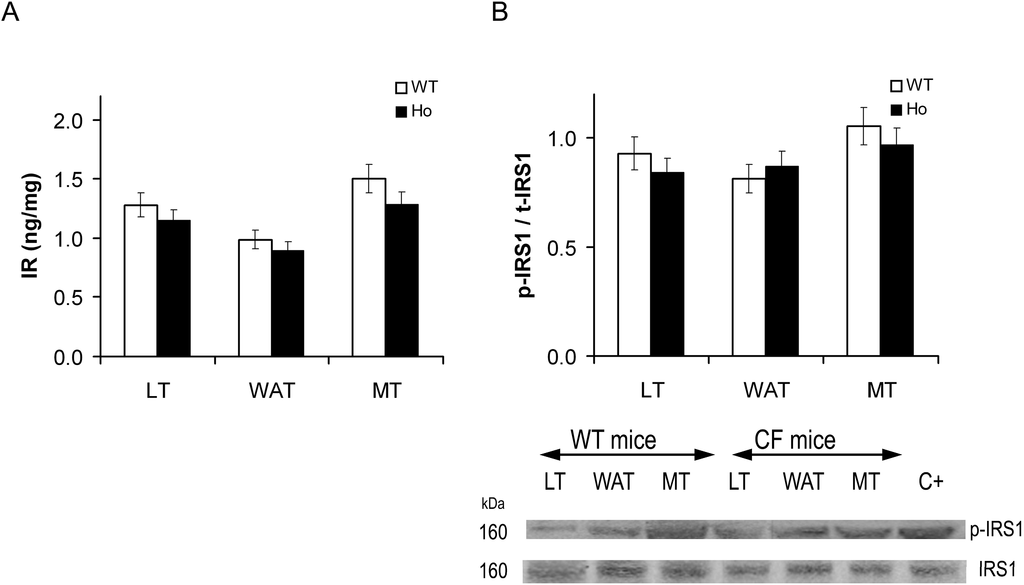 Ijms 15 18000 g008 1024