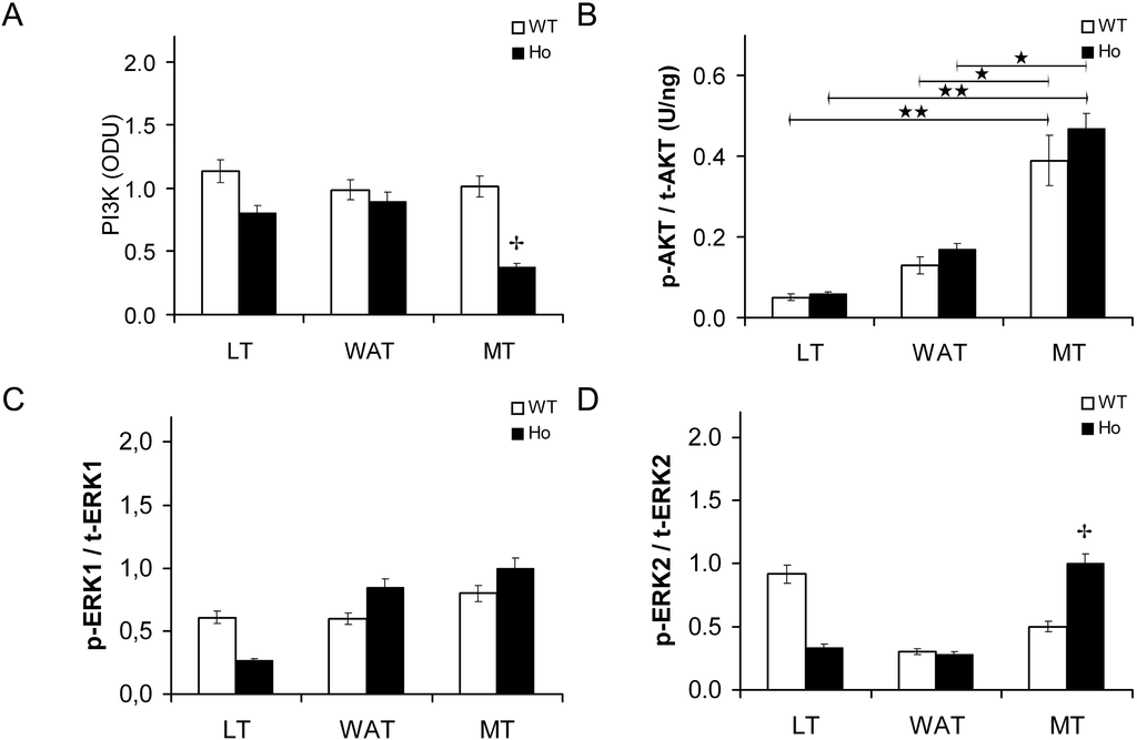 Ijms 15 18000 g009 1024