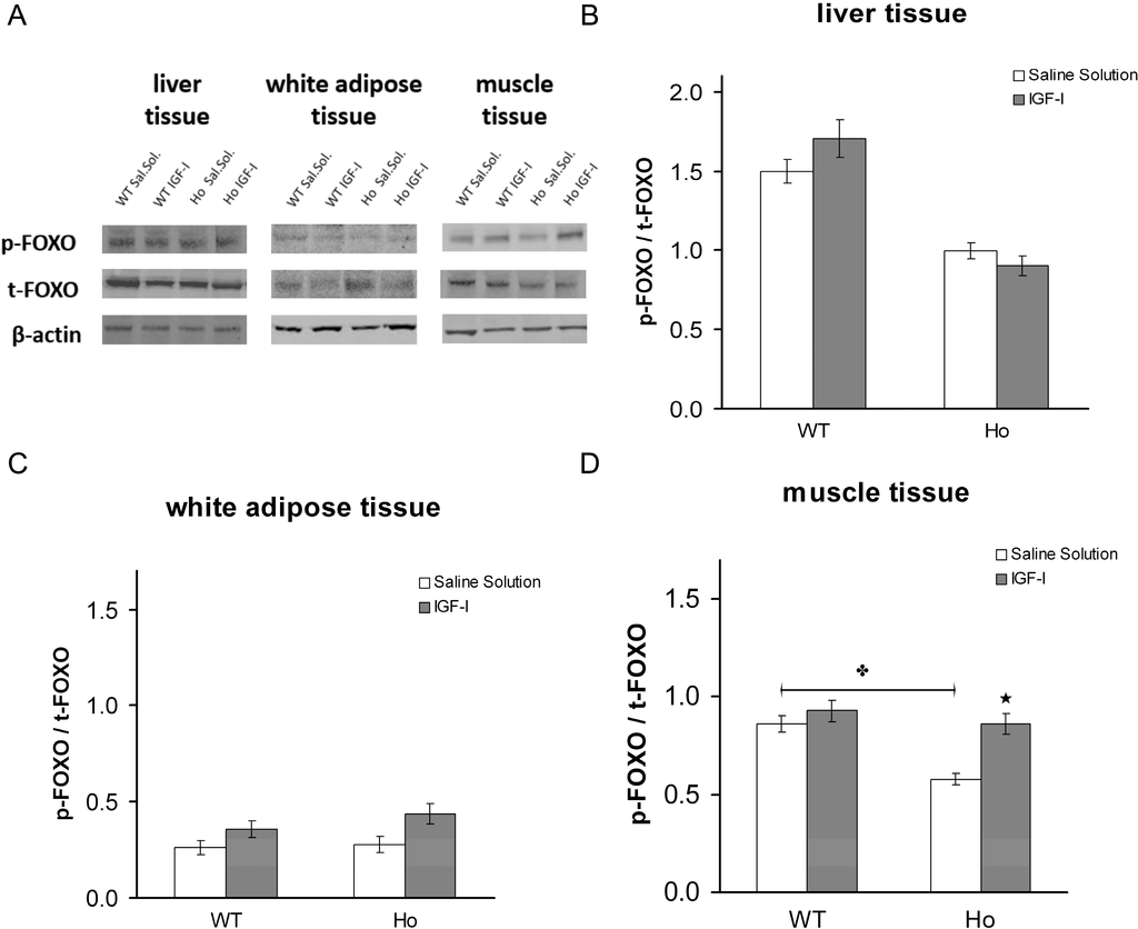 Ijms 15 18000 g010 1024