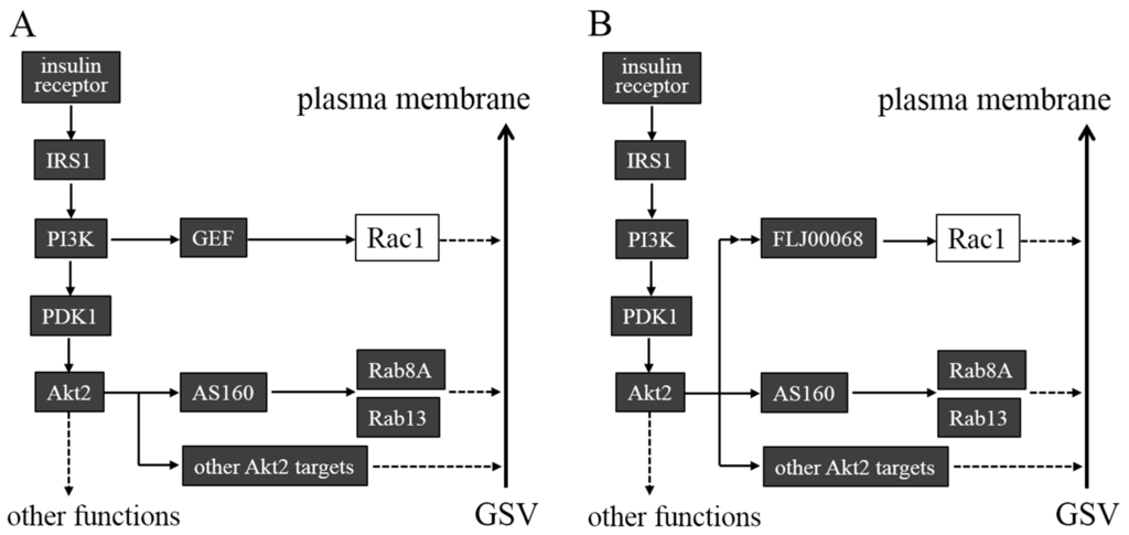 Ijms 15 18677 g002 1024