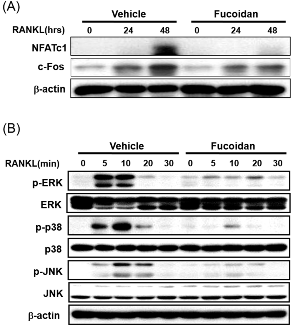 Ijms 15 18840 g005 1024