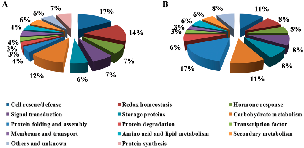Ijms 15 18892 g001 1024