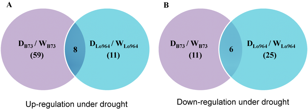 Ijms 15 18892 g002 1024