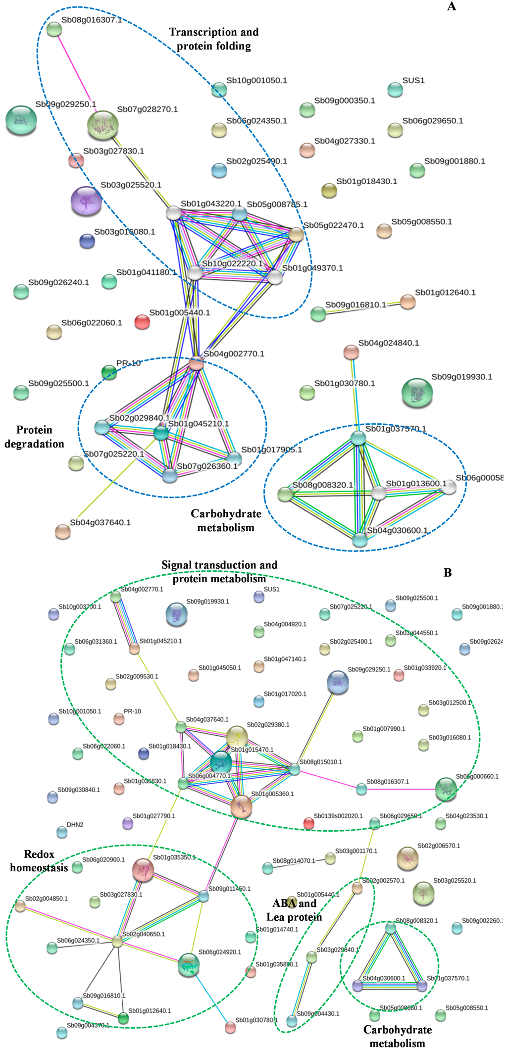 Ijms 15 18892 g004 1024