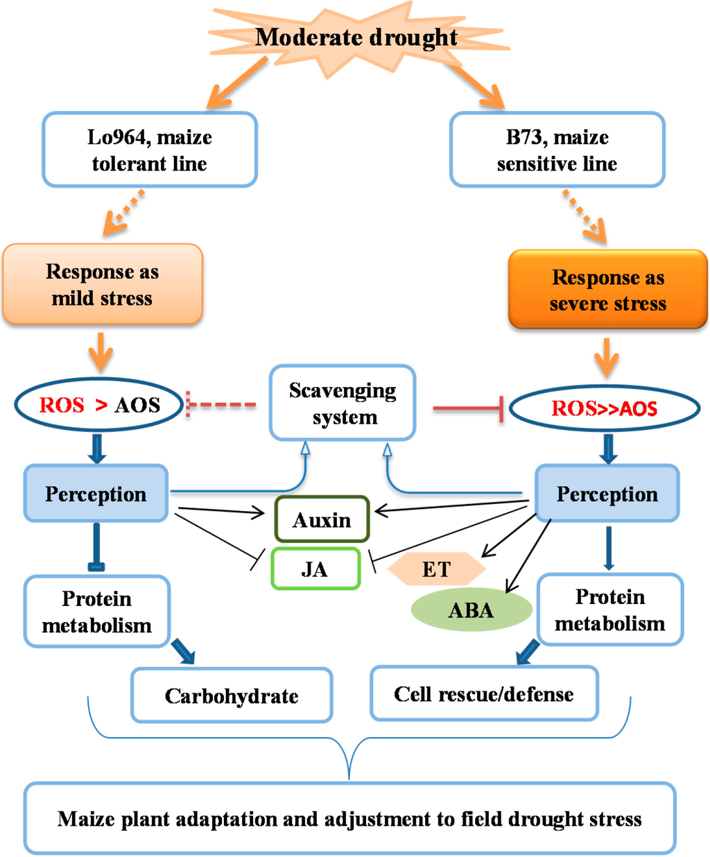 Ijms 15 18892 g005 1024
