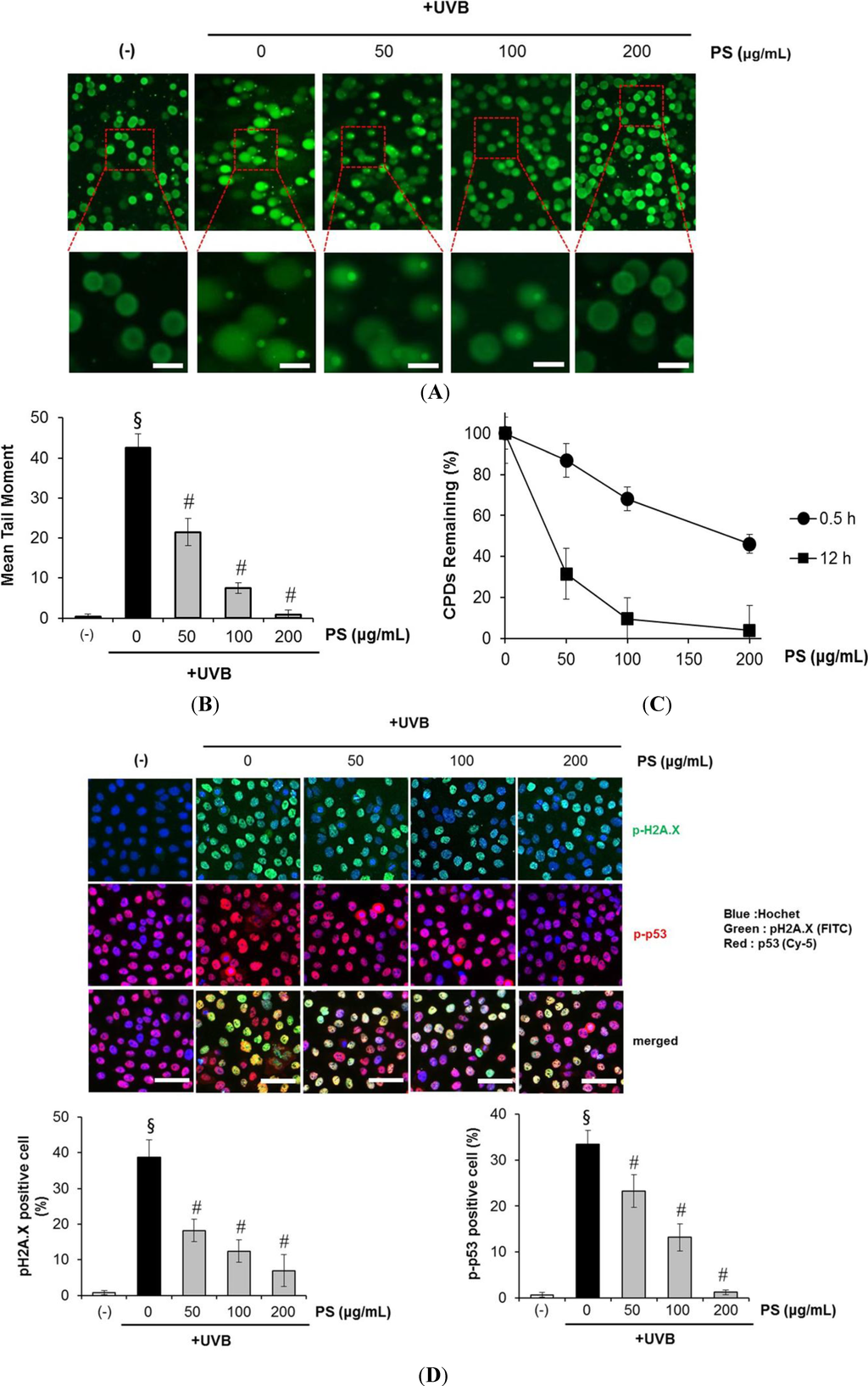 Ijms 15 18919 g004 1024