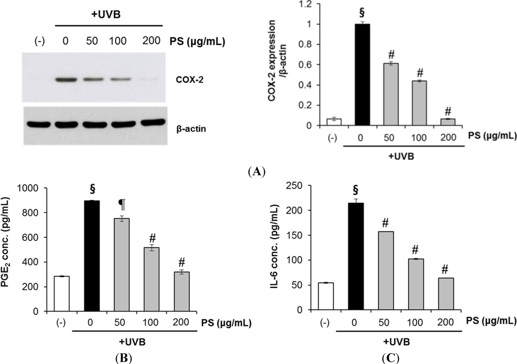 Ijms 15 18919 g007 1024