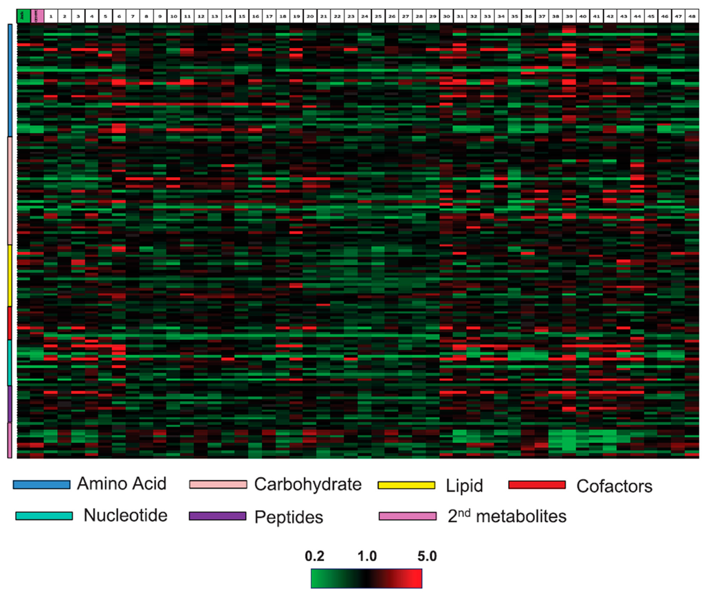 Ijms 15 18941 g002 1024