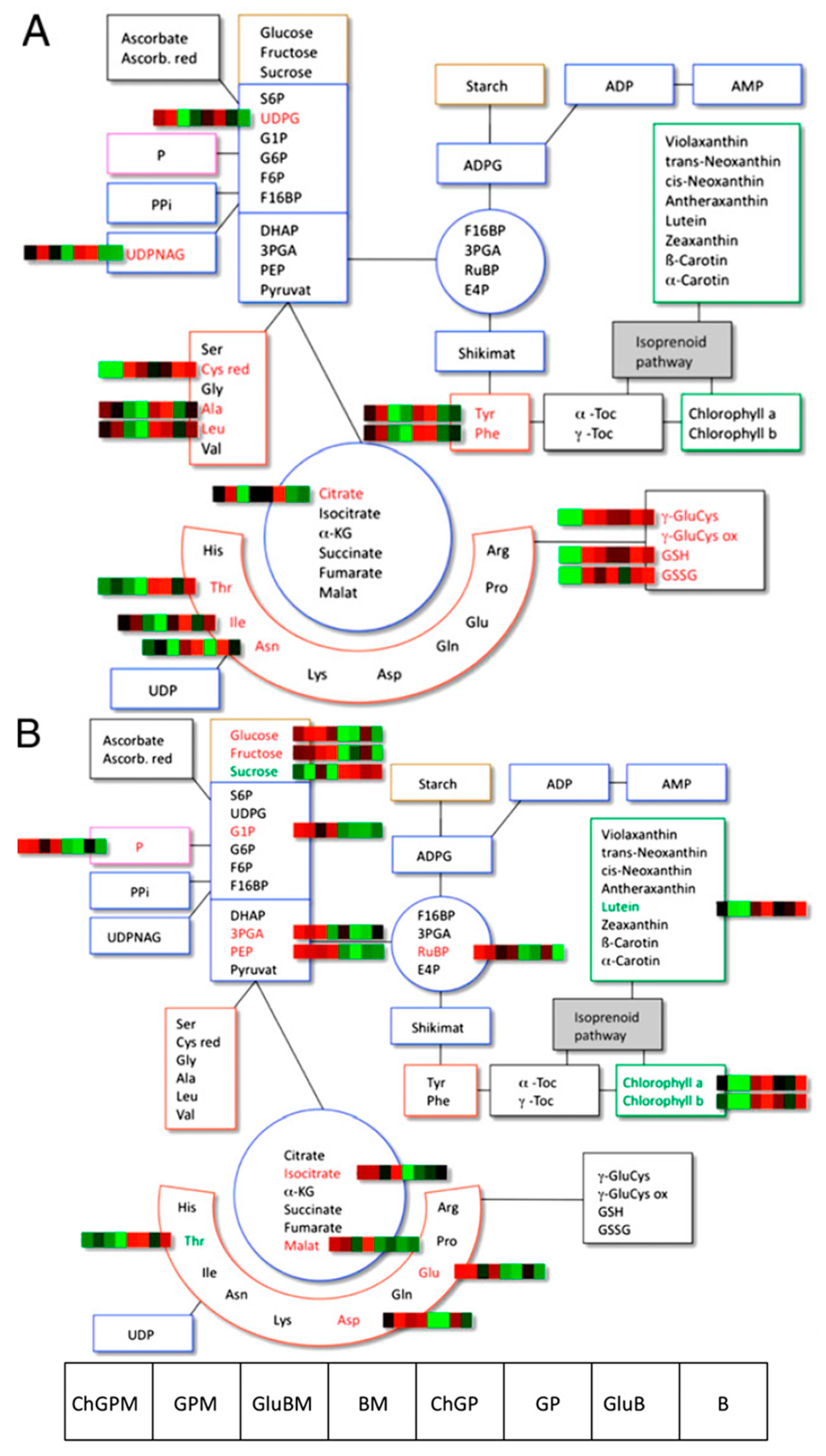 Ijms 15 18941 g004 1024