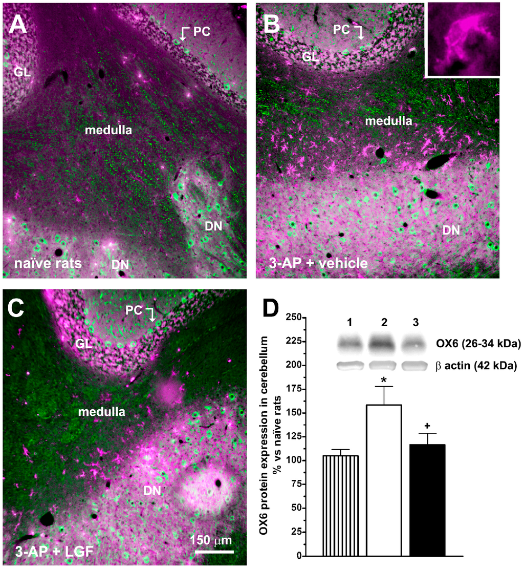 Ijms 15 19056 g005 1024