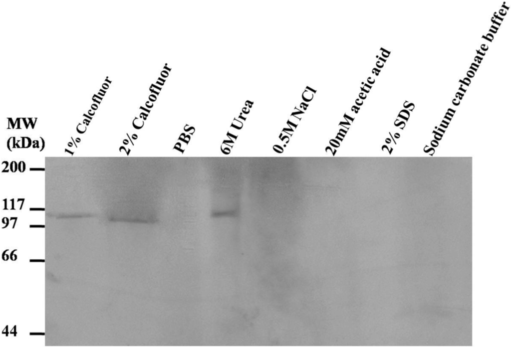 Ijms 15 19147 g005 1024