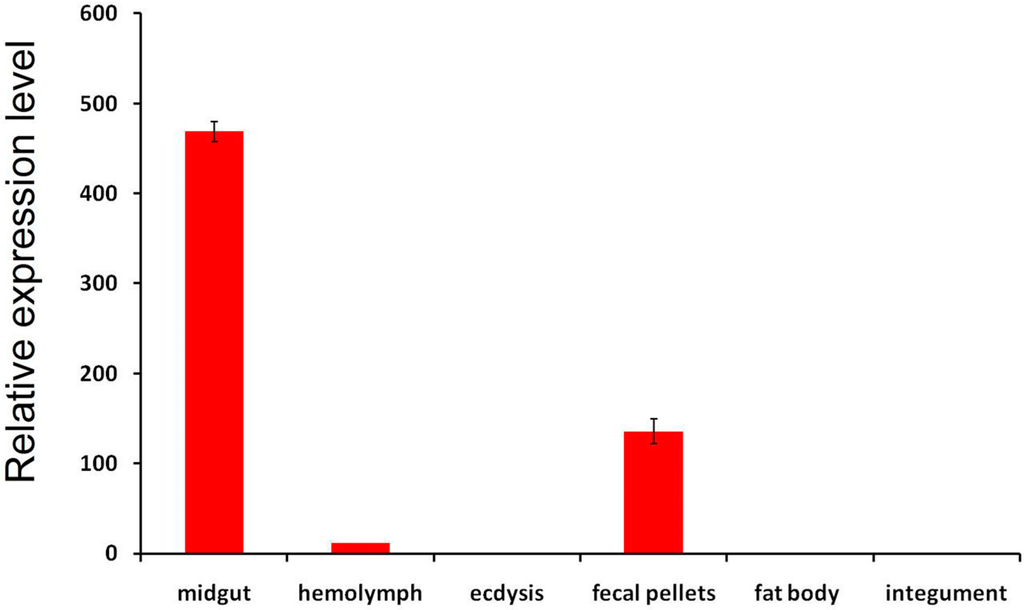 Ijms 15 19147 g006 1024