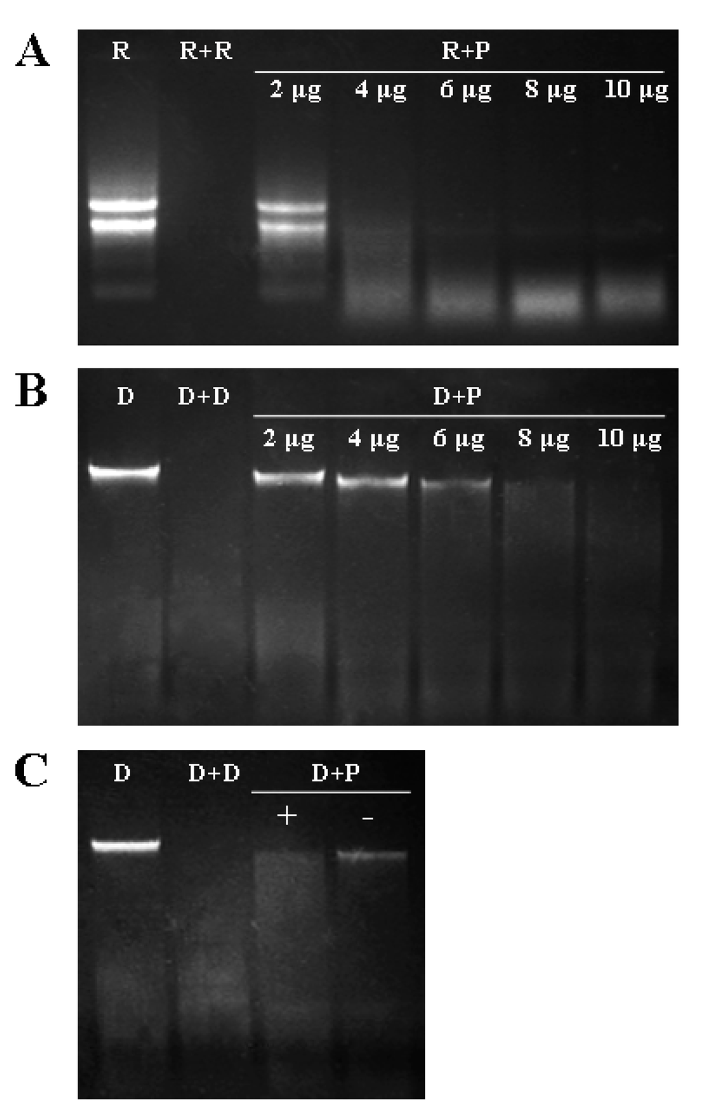 Ijms 15 19162 g004 1024