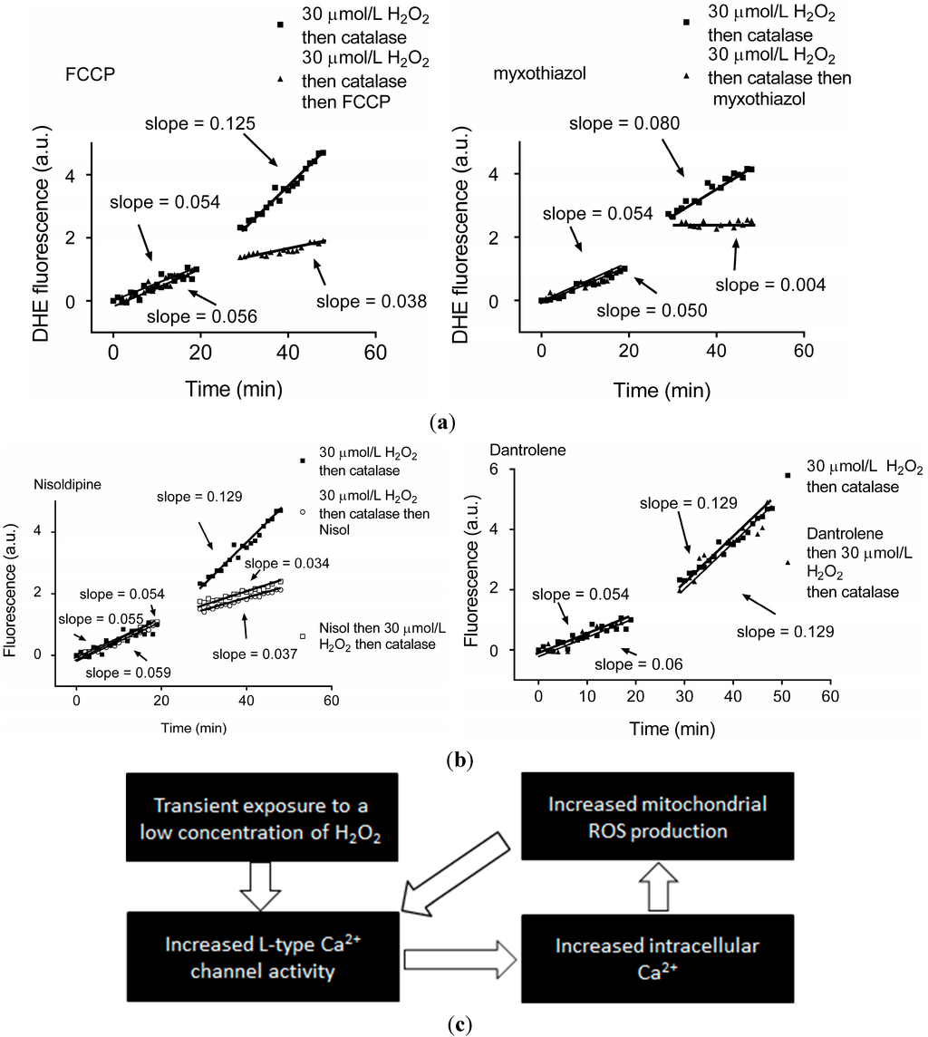 Ijms 15 19203 g001 1024