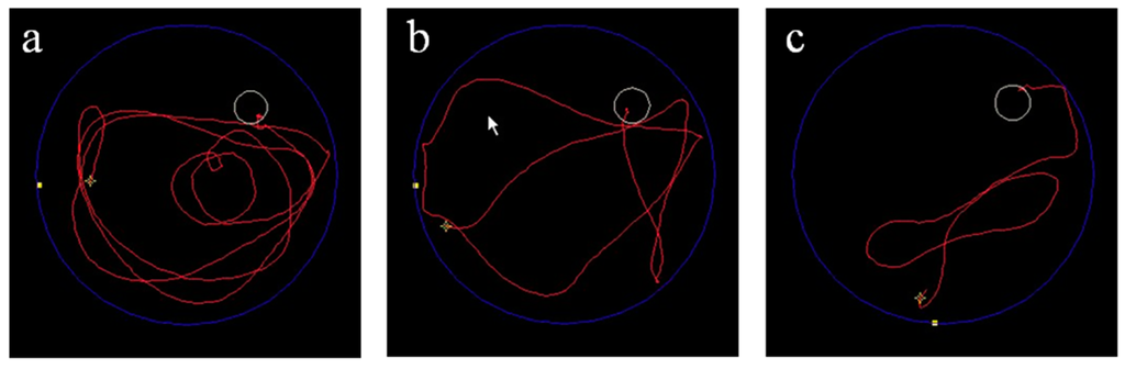 Ijms 15 19226 g001 1024