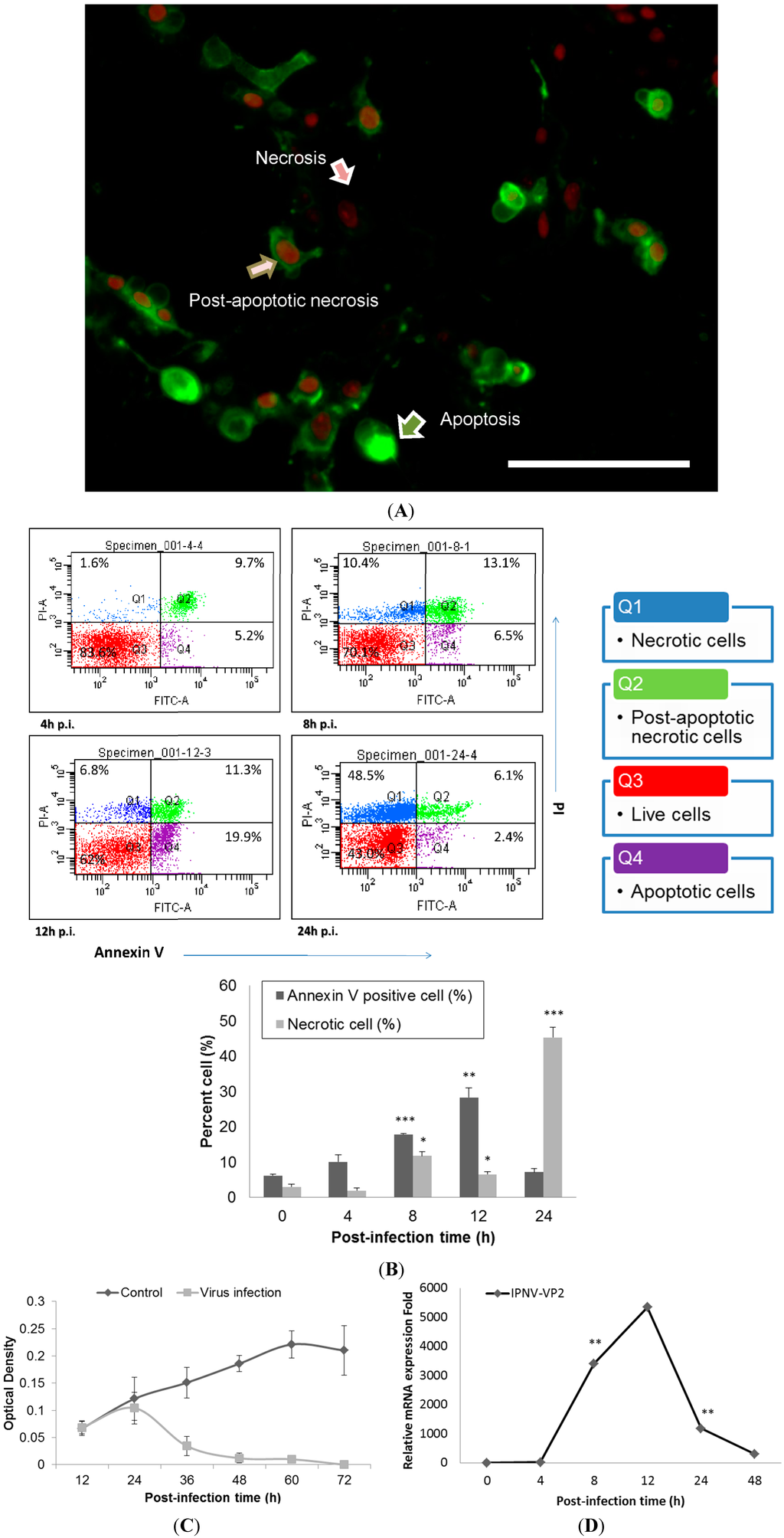 Ijms 15 19281 g001 1024