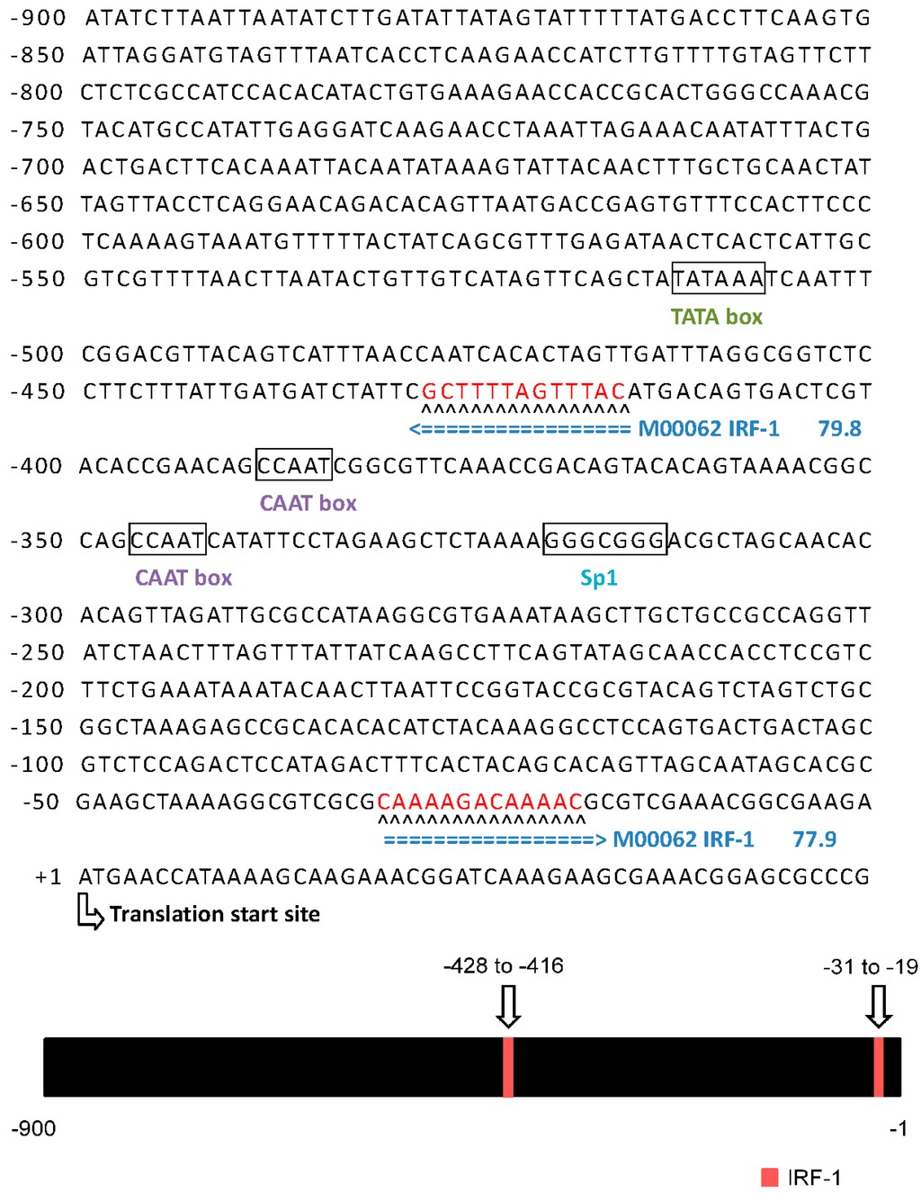 Ijms 15 19281 g004 1024