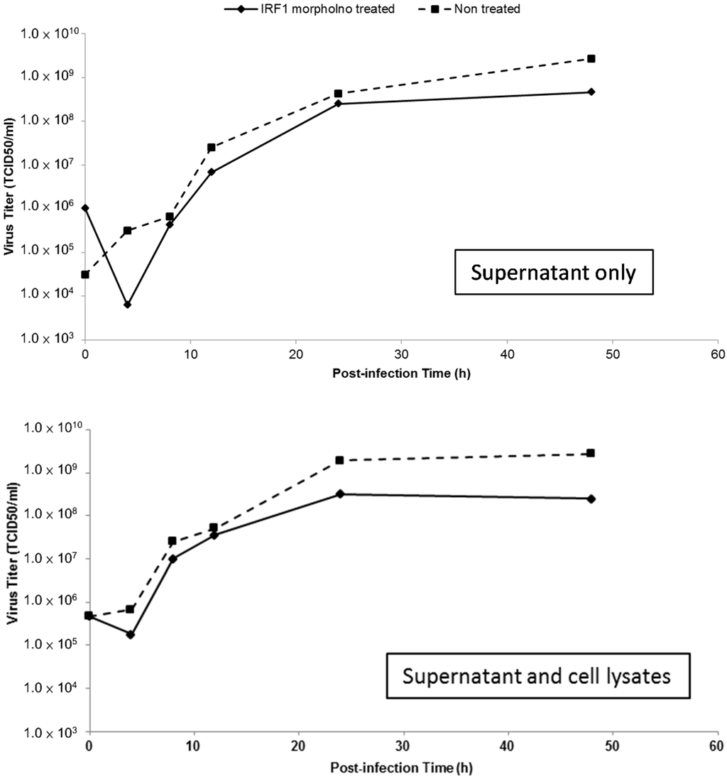 Ijms 15 19281 g007 1024