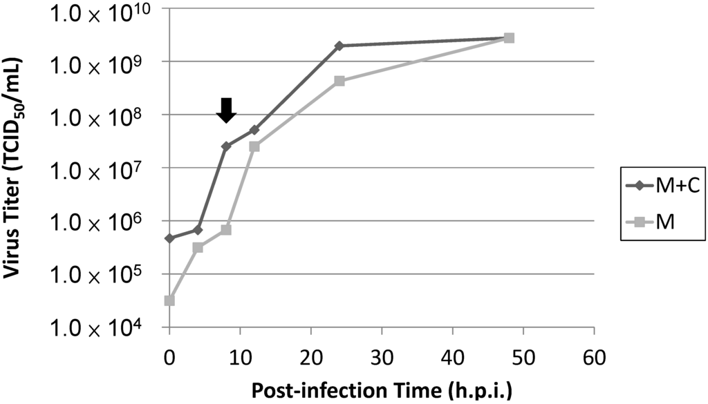 Ijms 15 19281 g008 1024