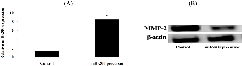 Ijms 15 19394 g006 1024