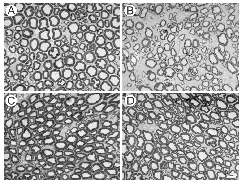 Ijms 15 19535 g006 1024