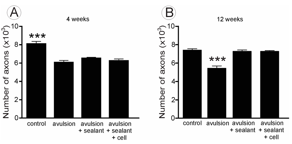 Ijms 15 19535 g007 1024