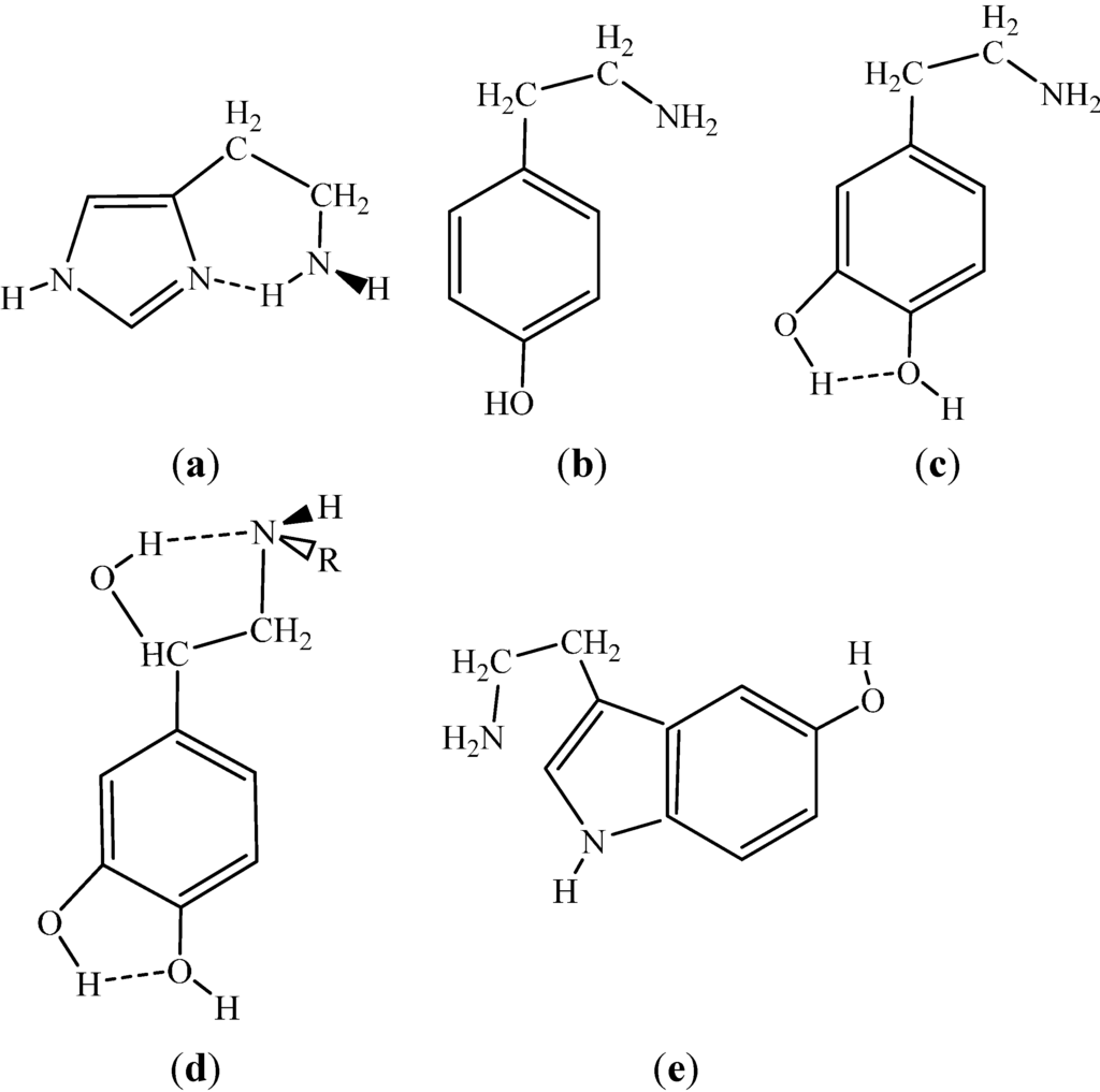 Ijms 15 19562 g008 1024