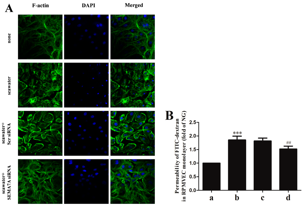 Ijms 15 19650 g004 1024