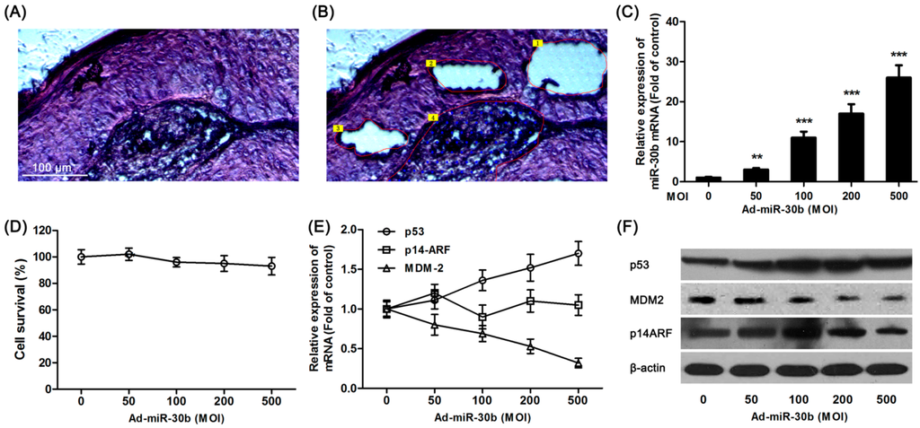 Ijms 15 19729 g001 1024