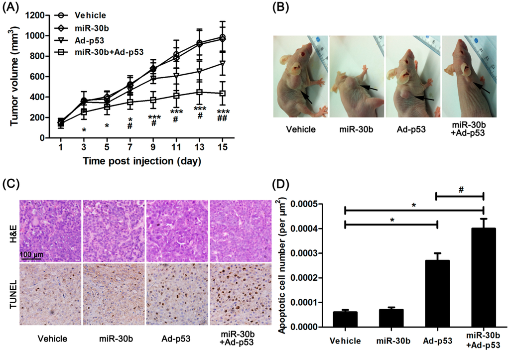 Ijms 15 19729 g003 1024