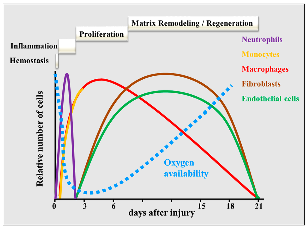 Ijms 15 19791 g001 1024