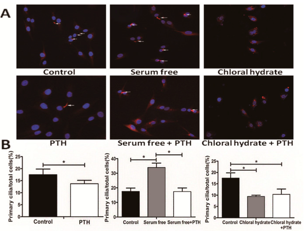Ijms 15 19816 g005 1024