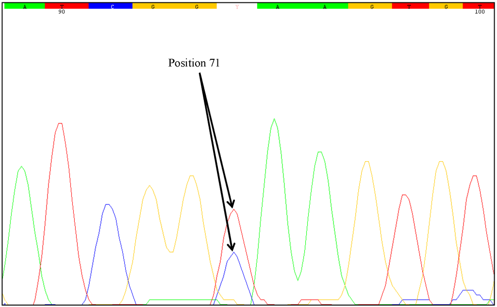 Ijms 15 19898 g008 1024