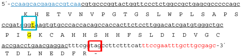 Ijms 15 19898 g009 1024