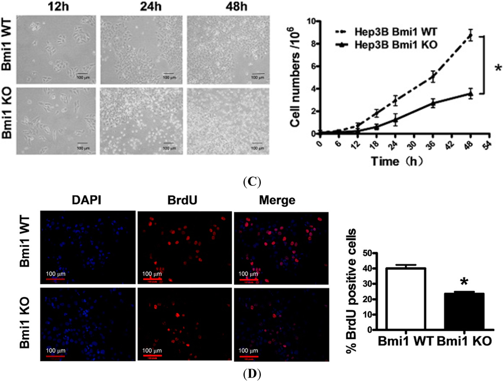 Ijms 15 20004 g001b 1024