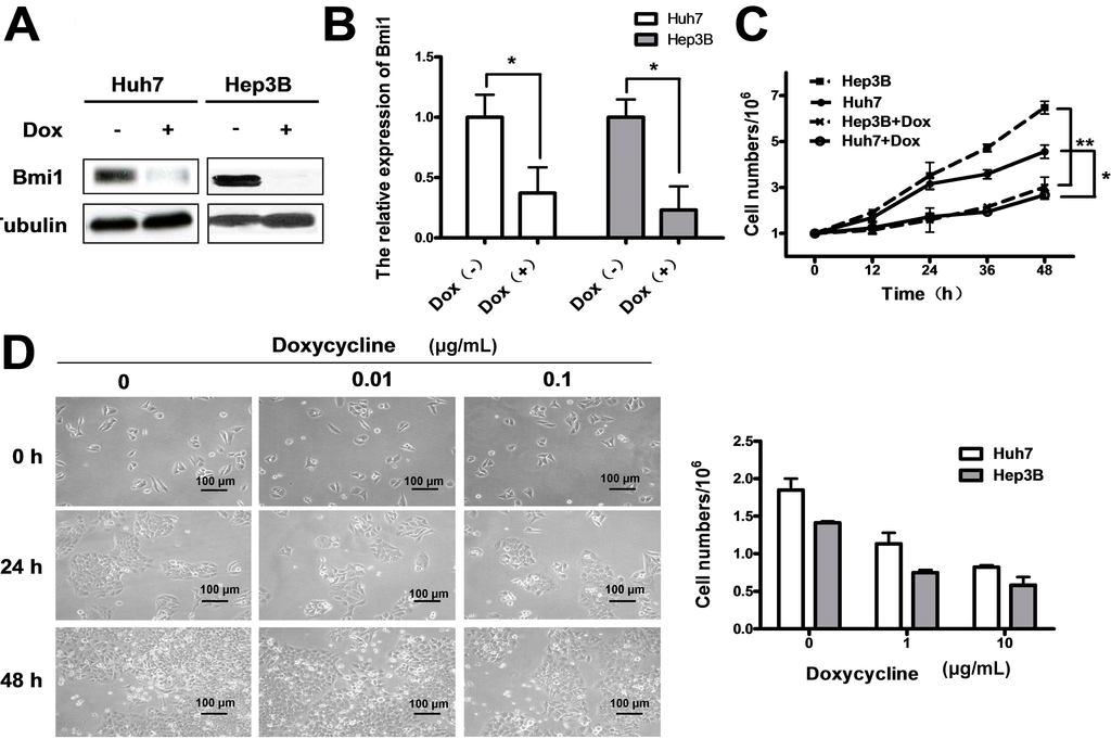 Ijms 15 20004 g004 1024