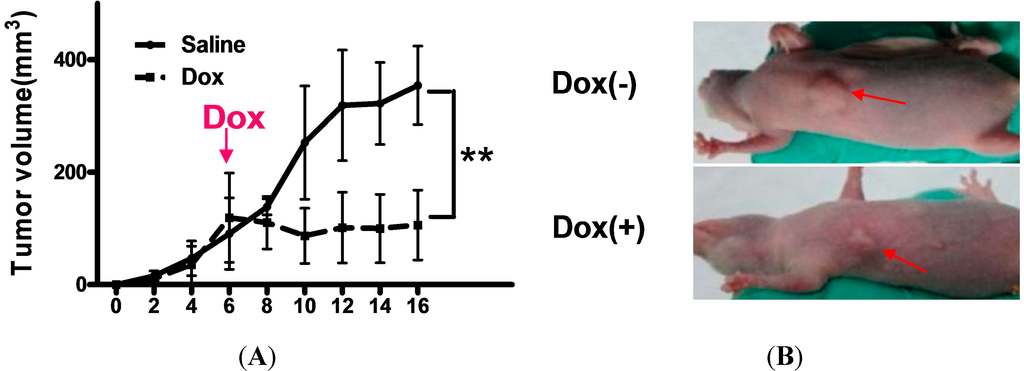 Ijms 15 20004 g005a 1024